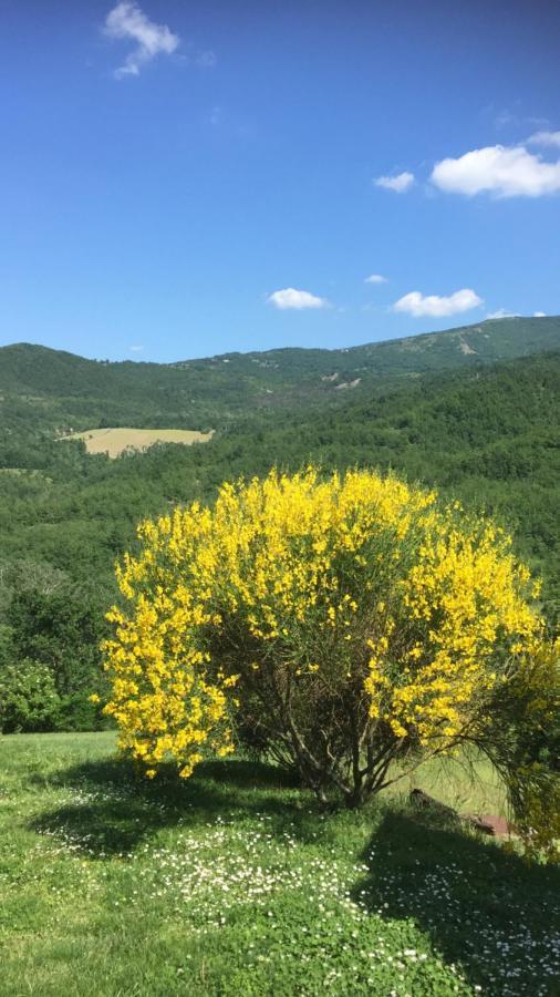 Nido D'Amore Nei Colori Dernice Buitenkant foto
